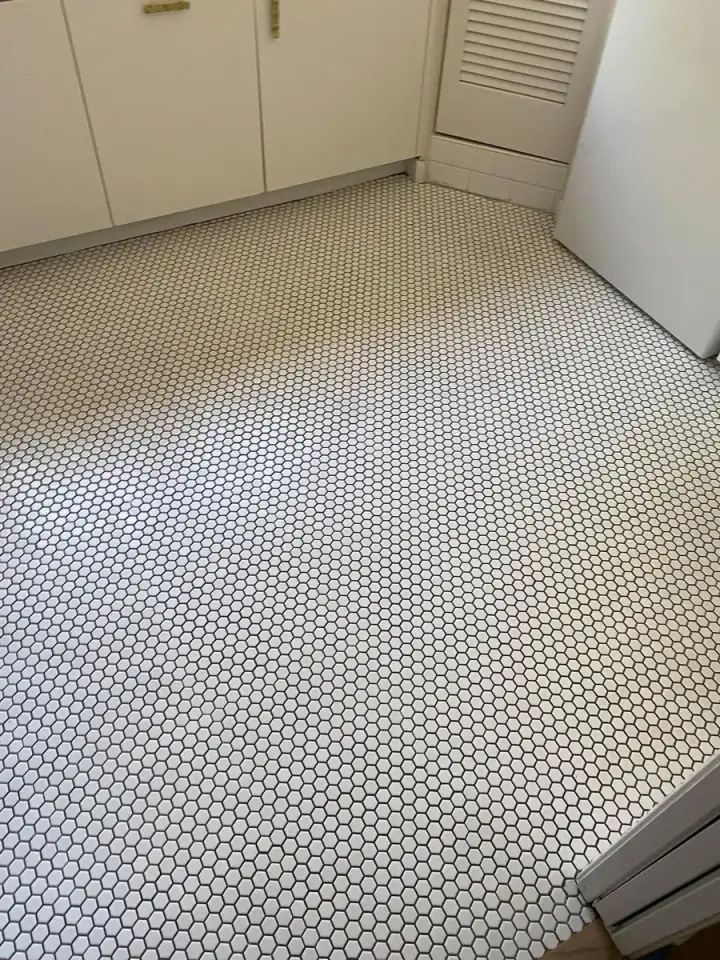 Canales Perfection cleaning project 149