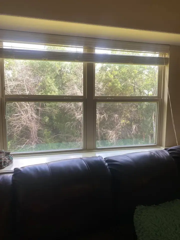 Canales Perfection cleaning project 61