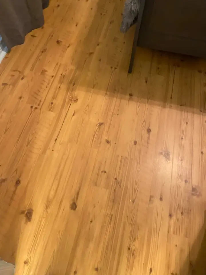 Canales Perfection cleaning project 90